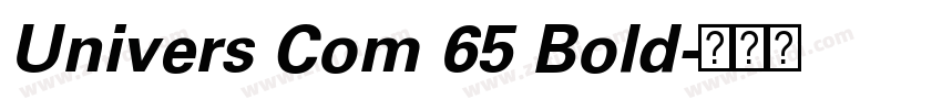 Univers Com 65 Bold字体转换